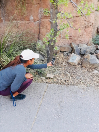 Deandra Jones takes picture of squirrel with smartphone