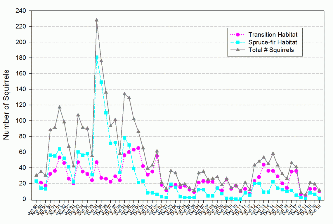 Summer and winter Mt. Graham red squirrel population size by forest community type