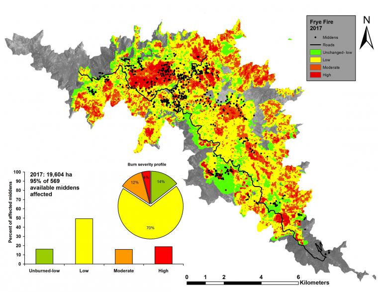 Frye Fire burn severity and middens affected