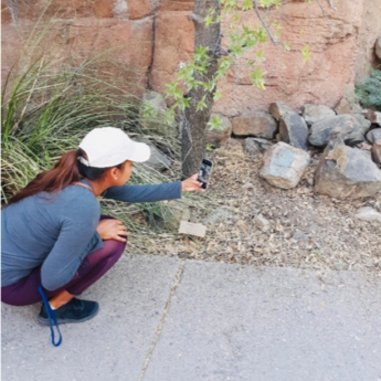 Deandra Jones takes picture of squirrel with smartphone