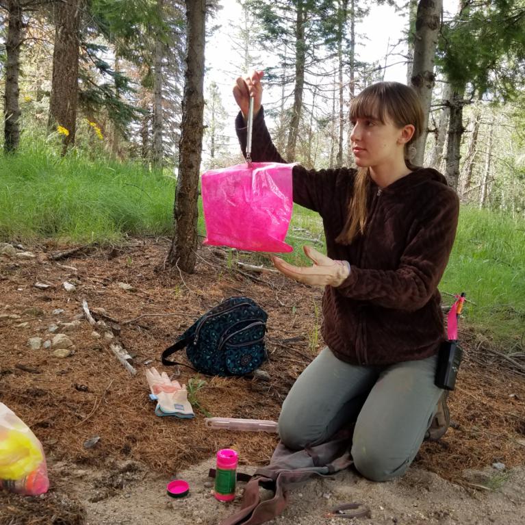 Sandy Slovikosky weighs packrat