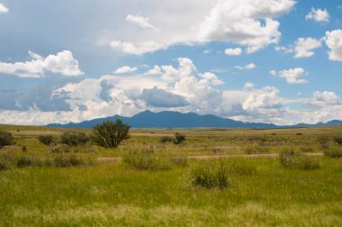 Las Cienegas Grassland