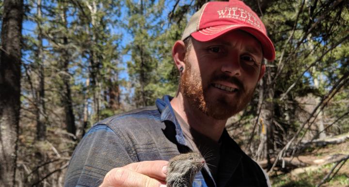 Neil Dutt handling white-bellied vole